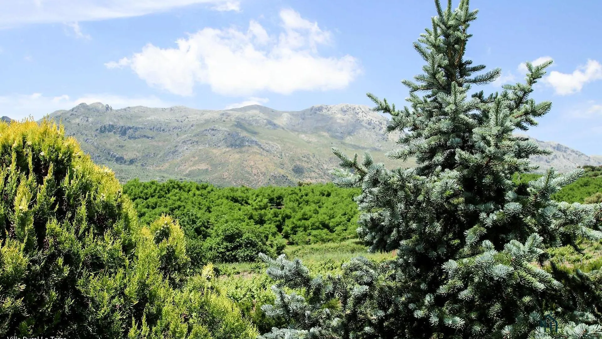 Living4Malaga Villas Rurales Grazalema Benadalid